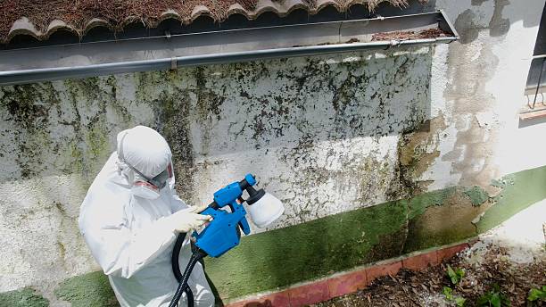 Top rated local Crawl Space Mold Remediation specialists in Havertown, PA